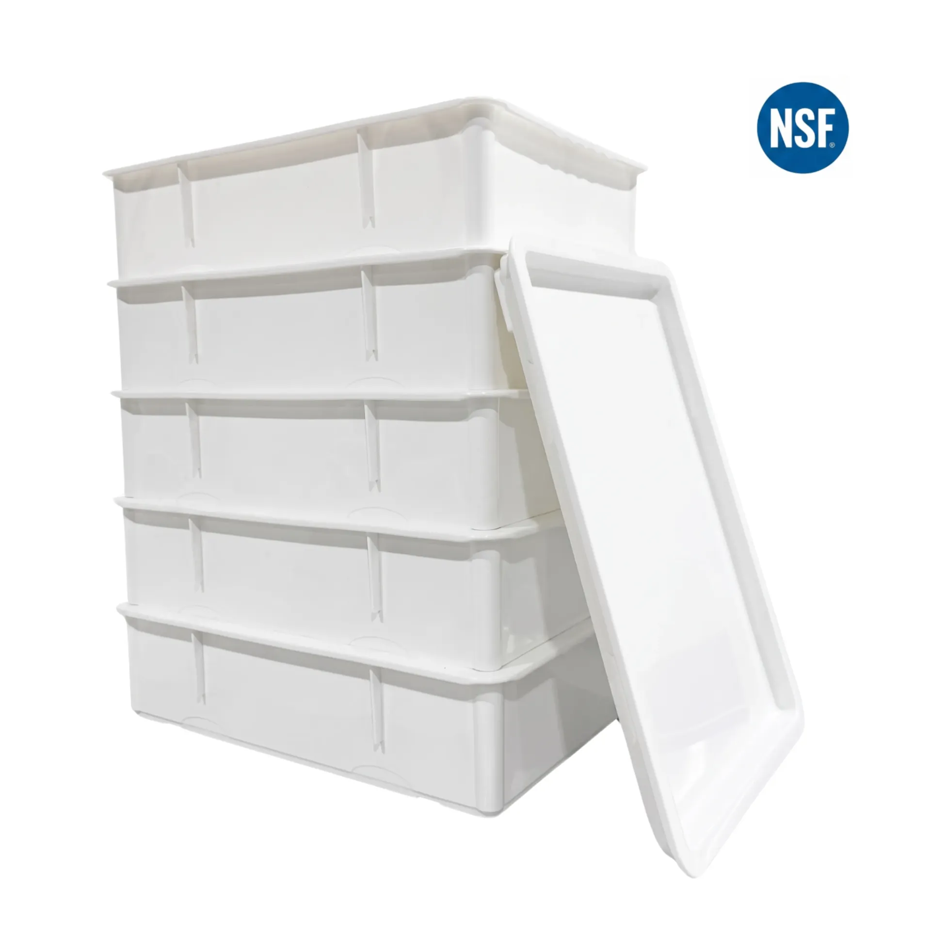 Cajas Maxi Para Masa Con Tapa Pizza Pan | 5 Caja Y 1 Tapa